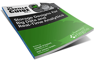 Storage Designs for Big Data and Real-Time Analytics