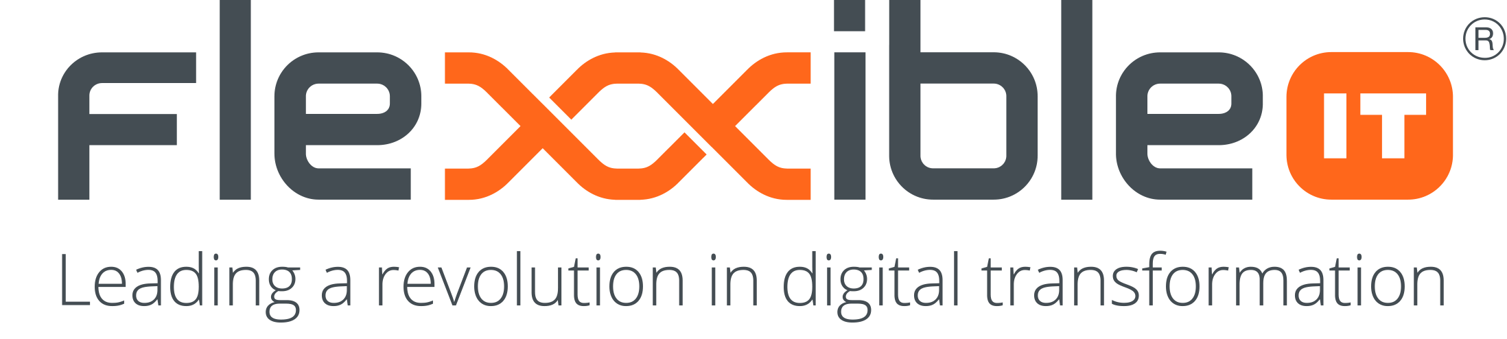 logo flexxibleit 2019